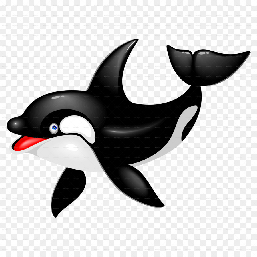 Killer whale Dolphin Drawing Cetacea - whale png download - 5000*5000 - Free Transparent Killer Whale png Download.