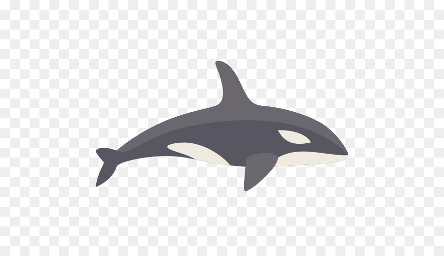 Dolphin Killer whale Animal Icon - whale png download - 512*512 - Free Transparent Dolphin png Download.