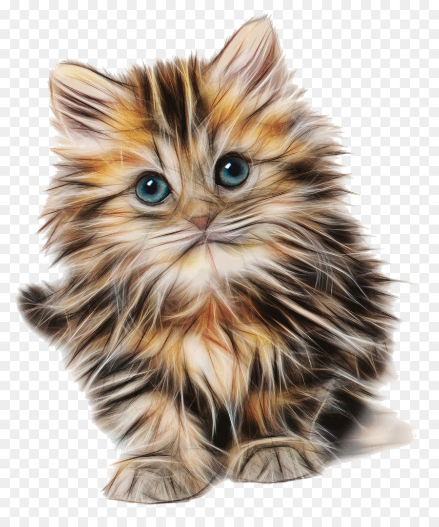 Cat Kitten Felidae Mouse Cuteness - Cat png download - 936*1110 - Free Transparent Cat png Download.