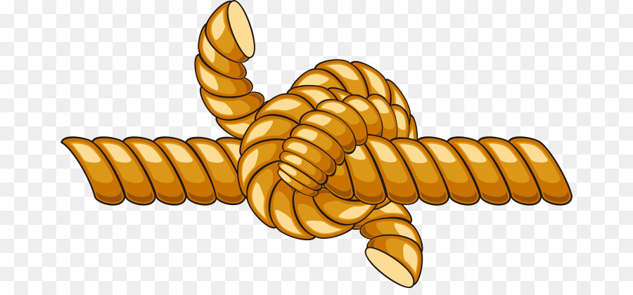 Rope Knot Cartoon - rope,rope png download - 728*410 - Free Transparent Rope png Download.