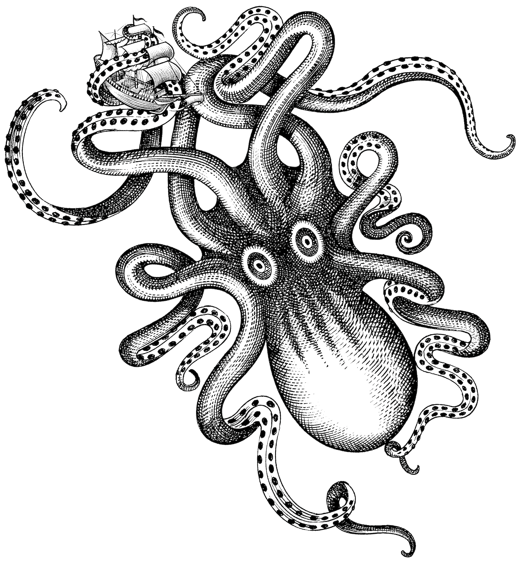 Kraken Illustration Free Transparent Png Download Pngkey | Images and ...