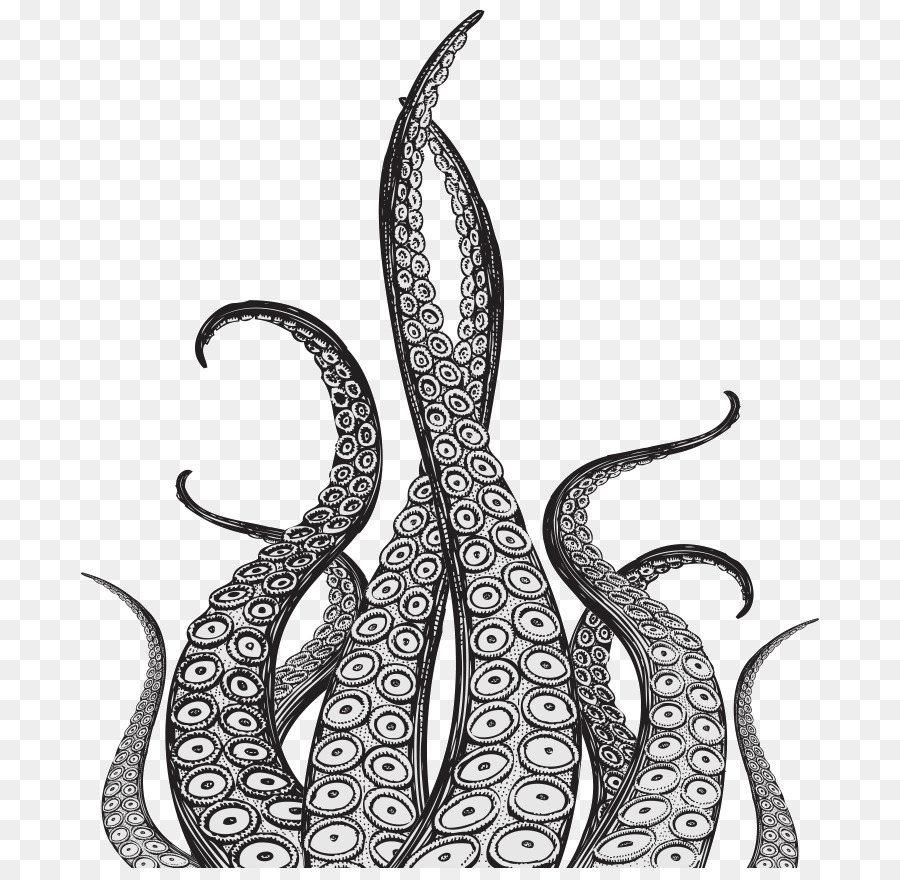 Kraken Octopus Squid Drawing Tentacle - octopus-cartoon png download - 864*868 - Free Transparent Kraken png Download.