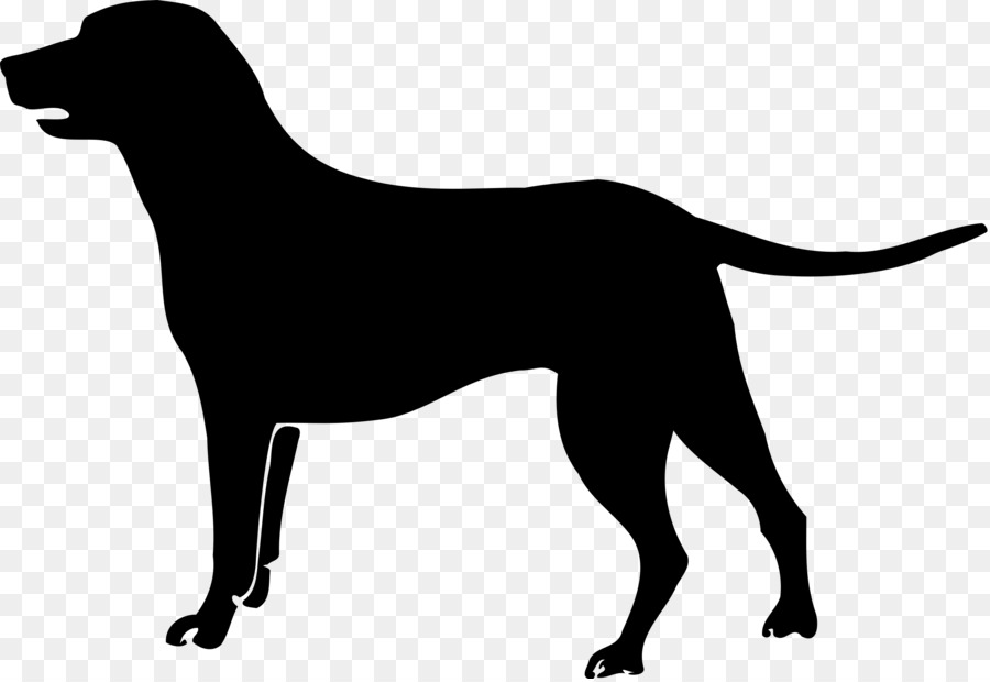 Labrador Retriever Boxer Puppy Sporting Group Clip art - black and white png download - 2400*1645 - Free Transparent Labrador Retriever png Download.