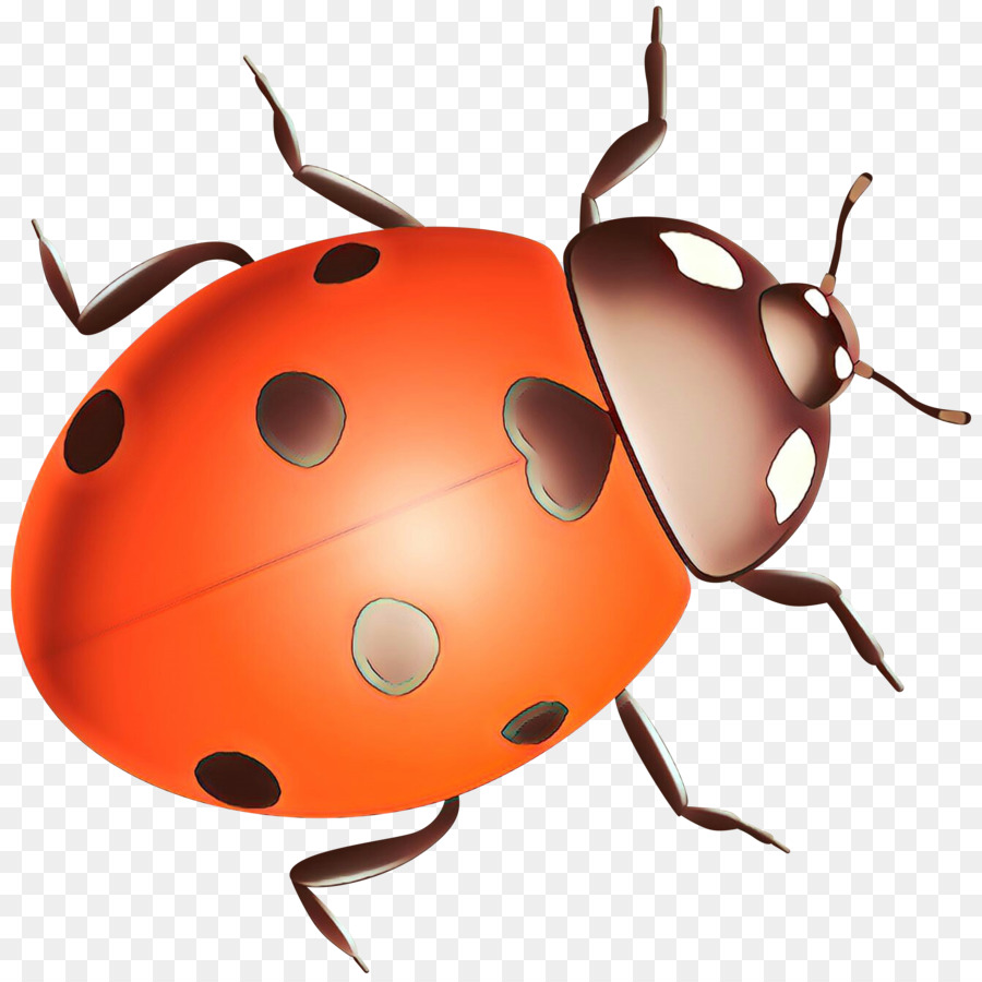 Ladybird beetle Clip art Pest Snout -  png download - 3000*2991 - Free Transparent Ladybird Beetle png Download.