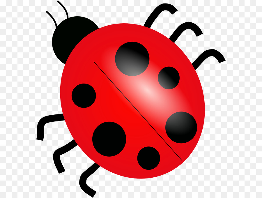 Ladybird Drawing Clip art - ladybug png download - 650*679 - Free Transparent Ladybird png Download.