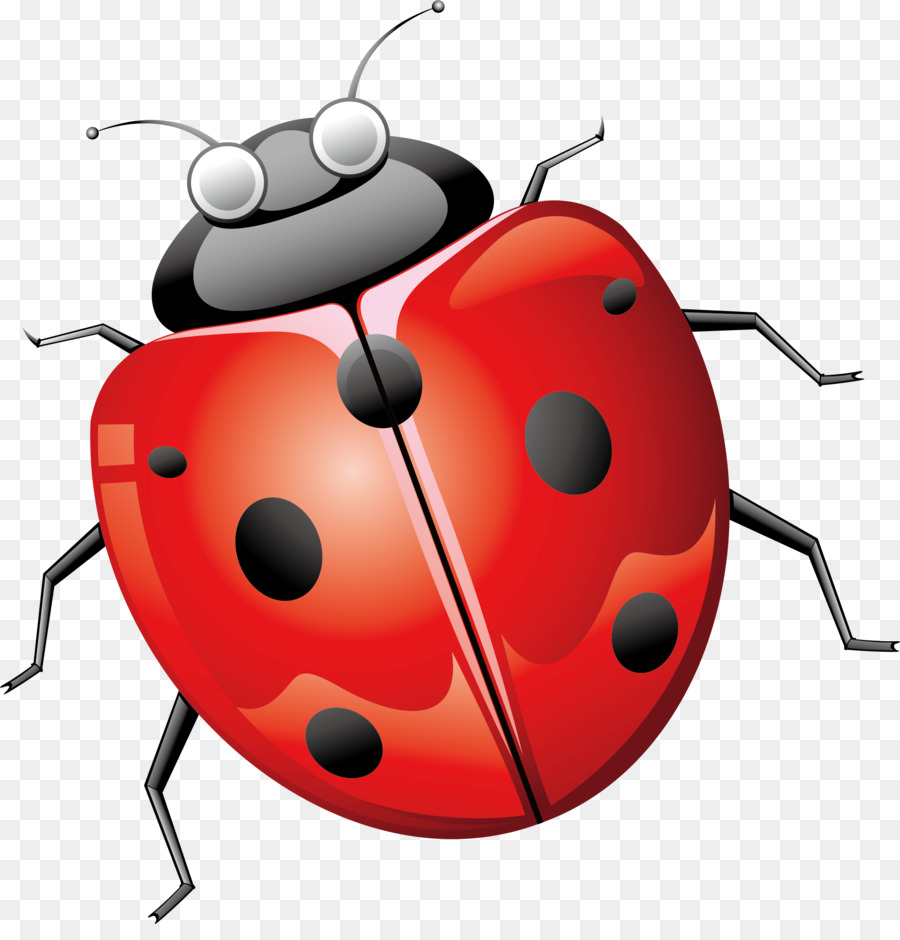 Ladybird Beetle Euclidean vector - Seven star ladybug png vector element png download - 2332*2395 - Free Transparent Ladybird png Download.