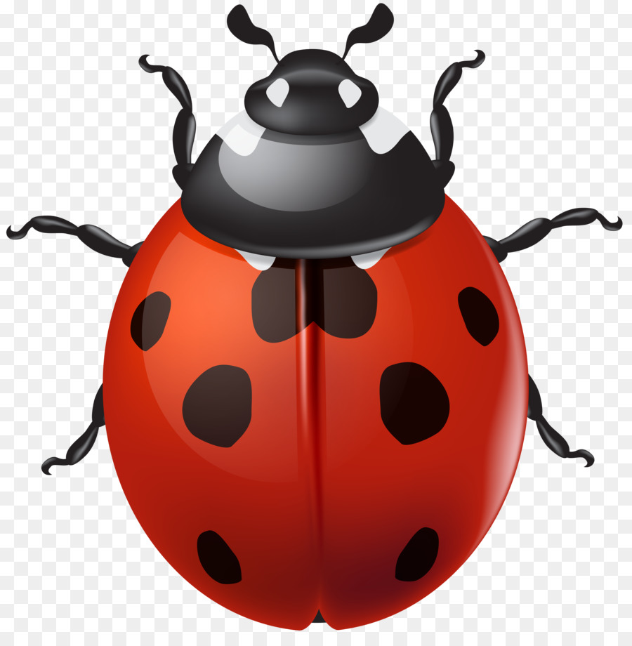 Ladybird Beetle Desktop Wallpaper Clip art - beetle png download - 6941*7000 - Free Transparent Ladybird png Download.