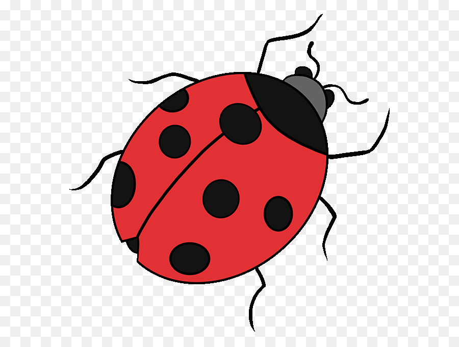 Drawing Ladybird beetle Image Tutorial Clip art - cute ladybug drawings png download - 680*678 - Free Transparent Drawing png Download.