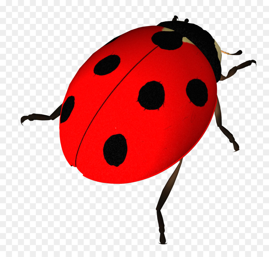 Insect Ladybird Clip art - ladybug png download - 1667*1589 - Free Transparent Insect png Download.