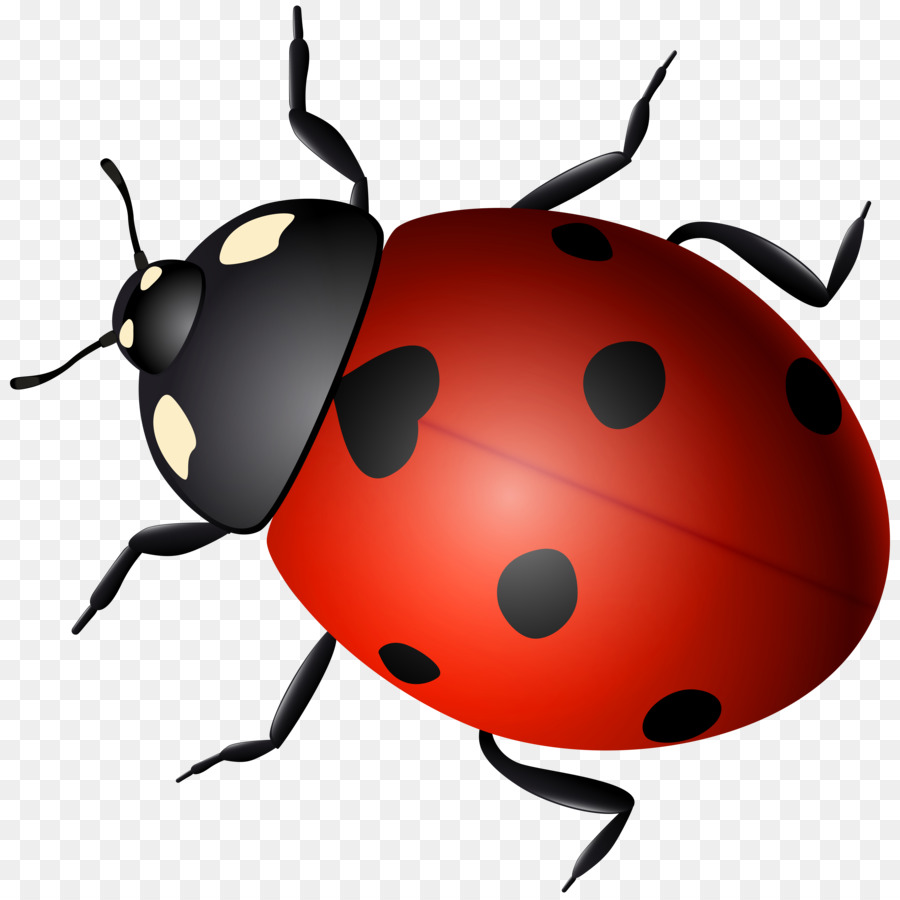 Ladybird Beetle Clip art - beetle png download - 8000*7979 - Free Transparent Ladybird png Download.
