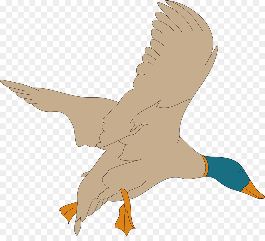 American Pekin Great Notley Parish Council Mallard Duck Clip art - Flying Swan png download - 1280*1145 - Free Transparent American Pekin png Download.