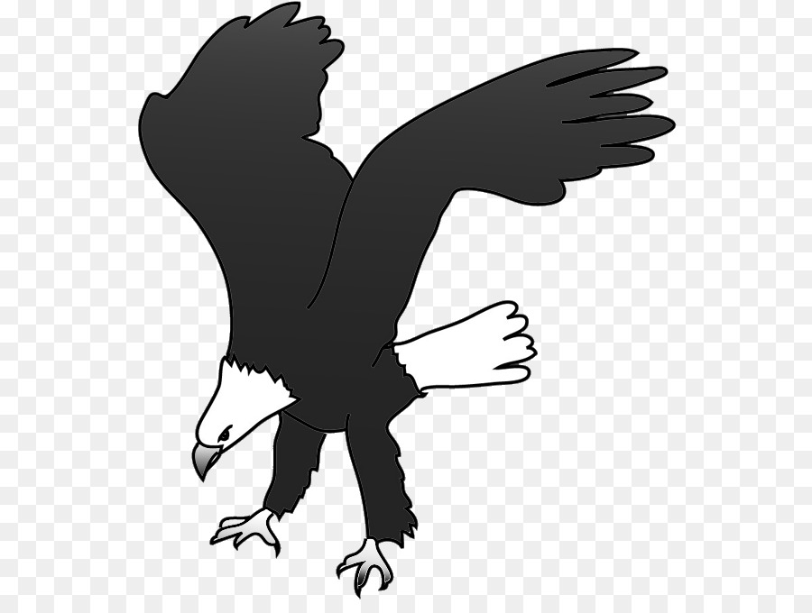 Bald eagle Bird Silhouette Clip art - eagle png download - 600*666 - Free Transparent Eagle png Download.