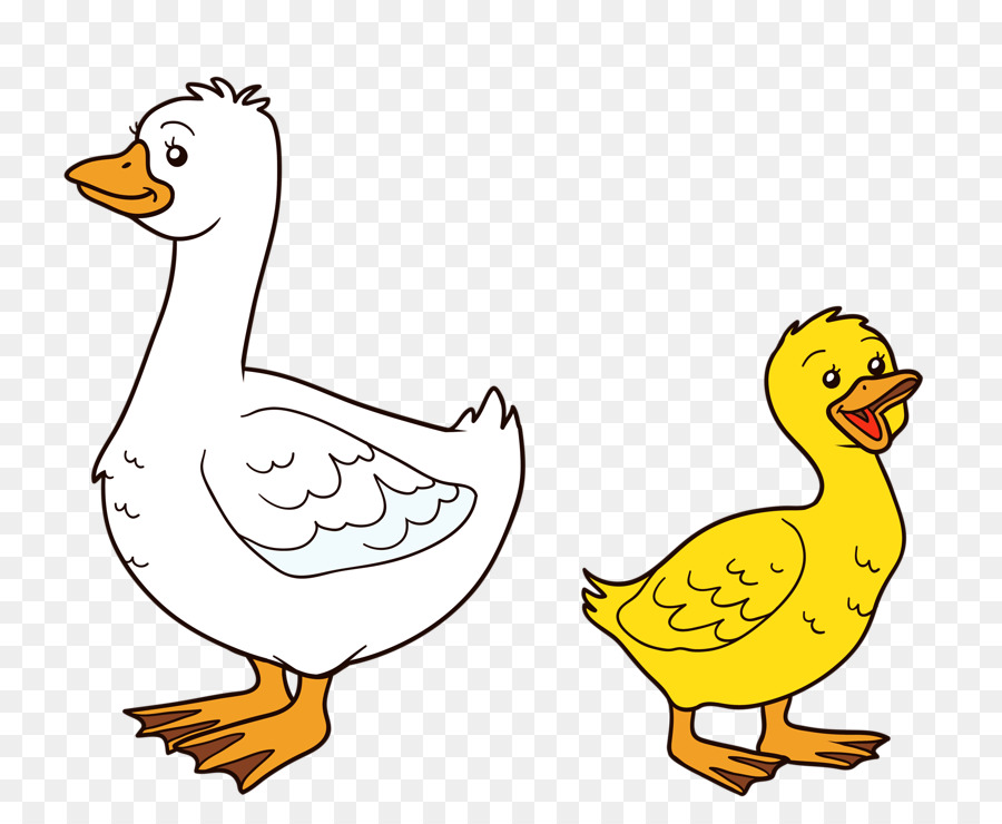 American Pekin Duck Goose Illustration - Duck and duck png download - 800*722 - Free Transparent American Pekin png Download.