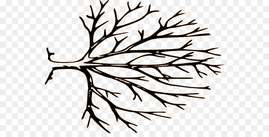 Branch Tree Royalty-free Clip art - Tree Stencil Cliparts png download - 600*448 - Free Transparent Branch png Download.