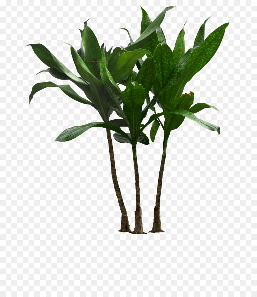 Houseplant Flowerpot Clip art Palm trees Plants - large potted plants png download - 789*1024 - Free Transparent Houseplant png Download.