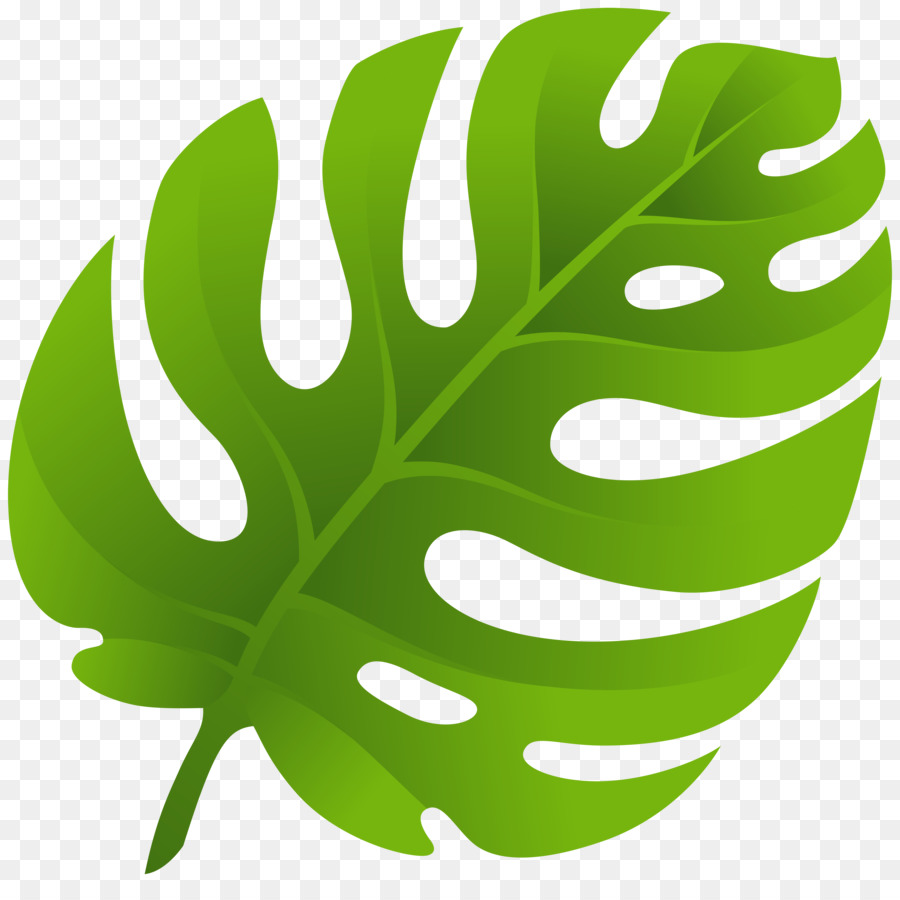 Leaf Clip art - monstera png download - 8000*7838 - Free Transparent Leaf png Download.