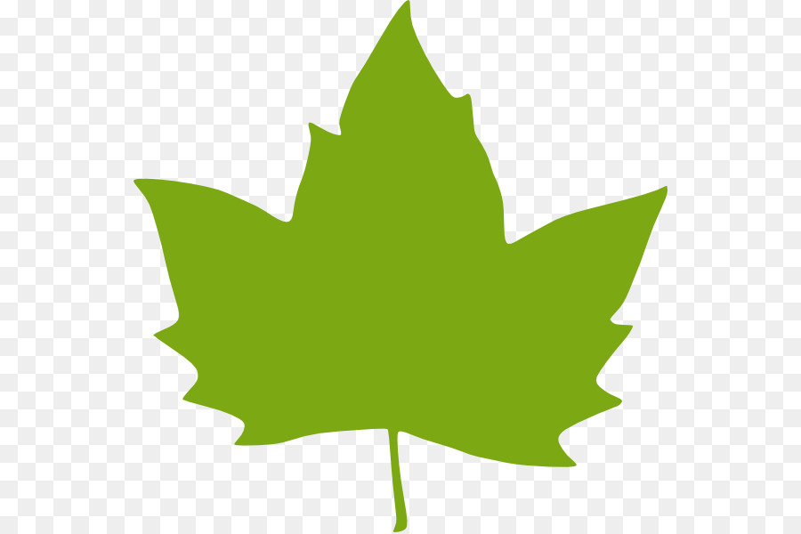 Leaf Green Clip art - Leaf Clip Art png download - 600*598 - Free Transparent Leaf png Download.