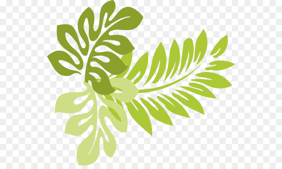 Hawaii Leaf Clip art - Buckeye Leaf Cliparts png download - 600*529 - Free Transparent Hawaii png Download.