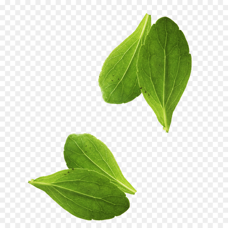 Leaf vegetable Basil Leaf vegetable - Leaves png download - 1181*1181 - Free Transparent Leaf png Download.