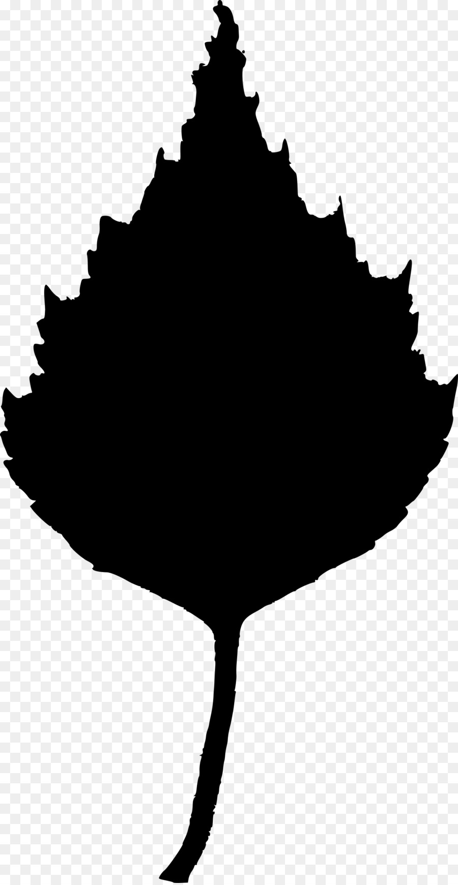 Birch Leaf Clip art - eucalyptus leaf png download - 1244*2400 - Free Transparent Birch png Download.