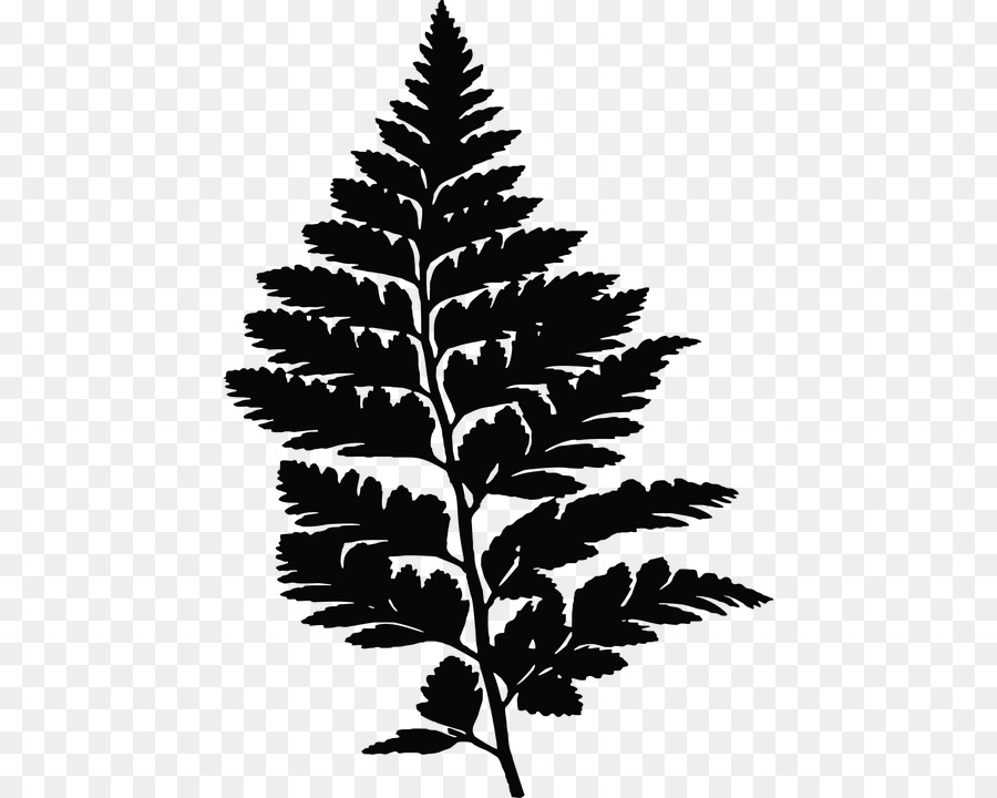Christmas fern Leaf Silhouette - Leaf png download - 496*720 - Free Transparent Fern png Download.