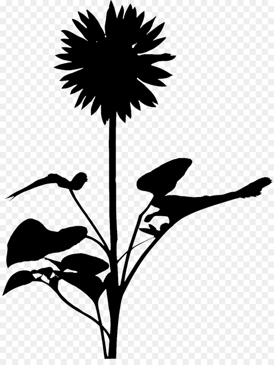 Clip art Leaf Silhouette Plant stem Flowering plant -  png download - 915*1200 - Free Transparent Leaf png Download.