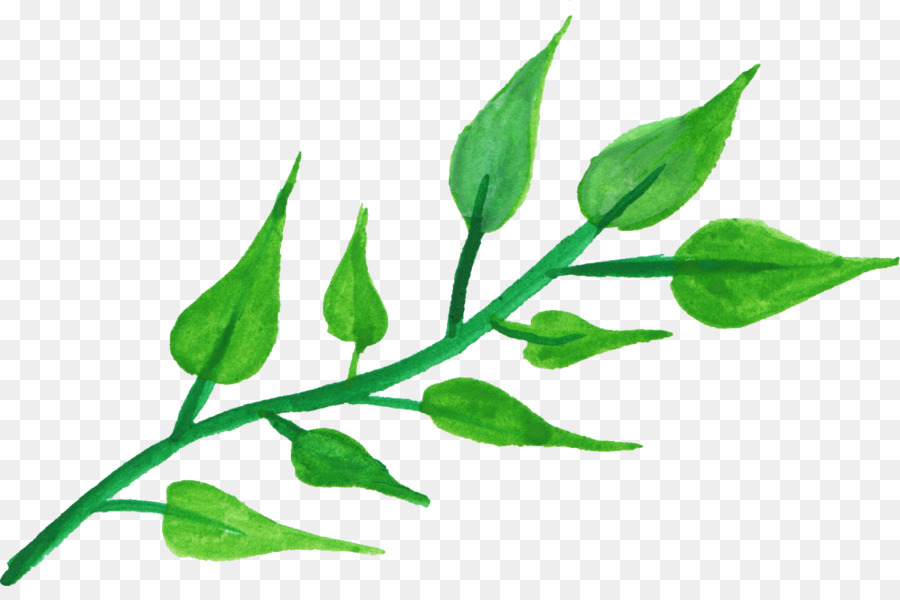 Leaf Plant stem Watercolor painting Clip art - leaf png download - 1377*896 - Free Transparent Leaf png Download.