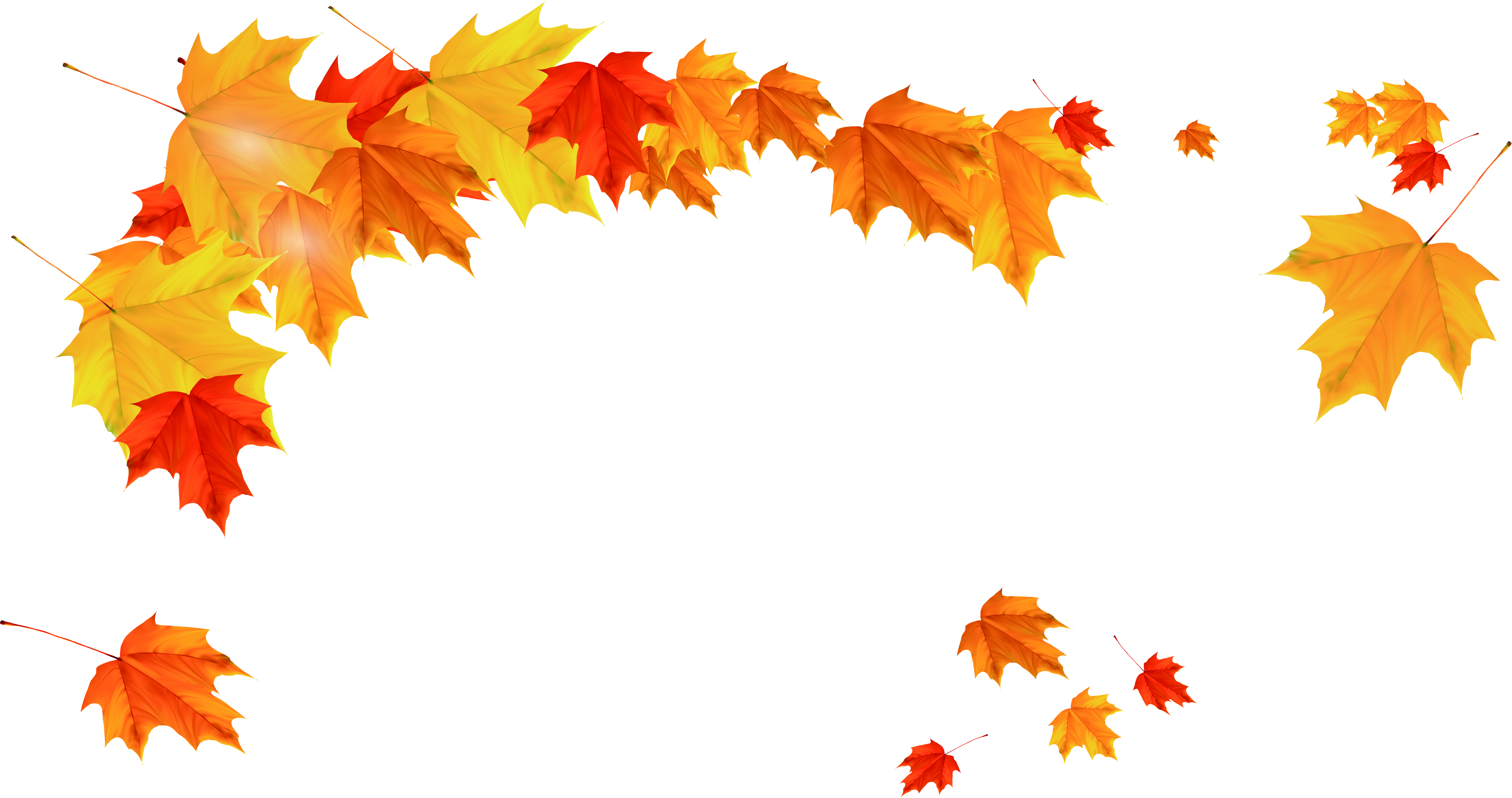 Maple leaf Autumn - Beautiful golden maple leaves falling png download -  6704*3539 - Free Transparent Maple Leaf png Download. - Clip Art Library