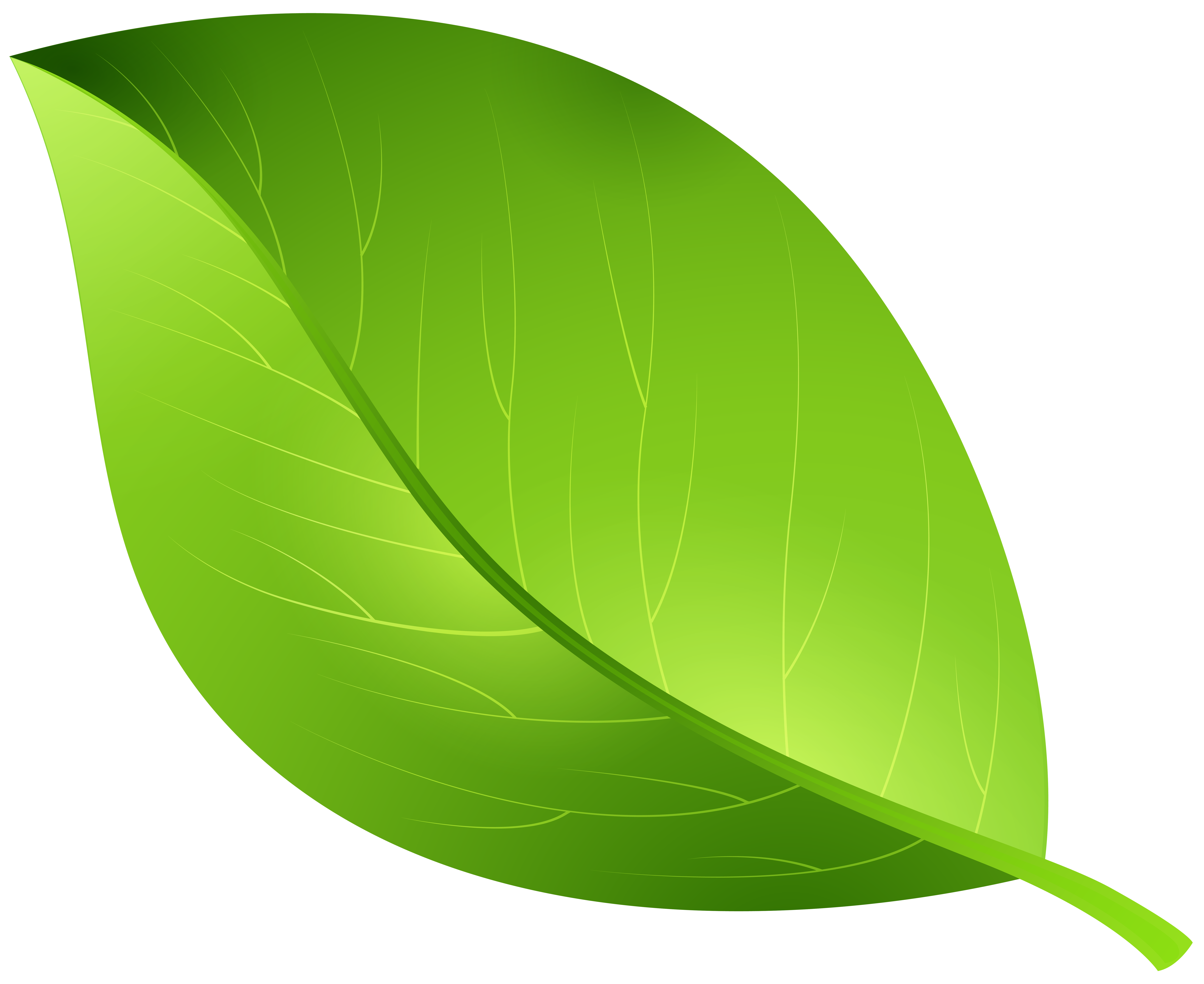 Leaf Clip art - green leaves png download - 8000*6540 - Free Transparent Leaf  png Download. - Clip Art Library