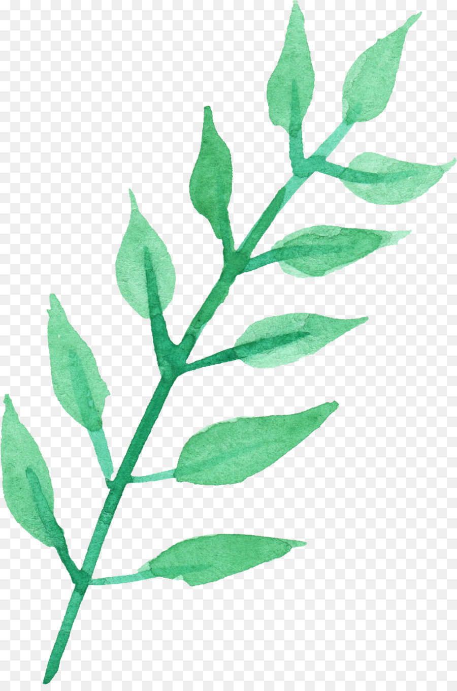 Transparent Watercolor Leaf Plant stem Twig Watercolor painting - watercolour png download - 929*1390 - Free Transparent Transparent Watercolor png Download.