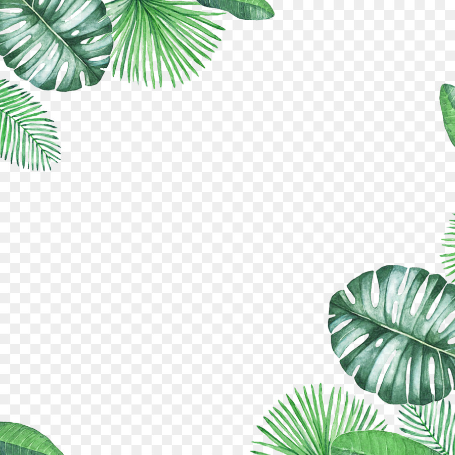 Leaf - Green Fresh Leaf Border Texture png download - 1200*1200 - Free Transparent Leaf png Download.
