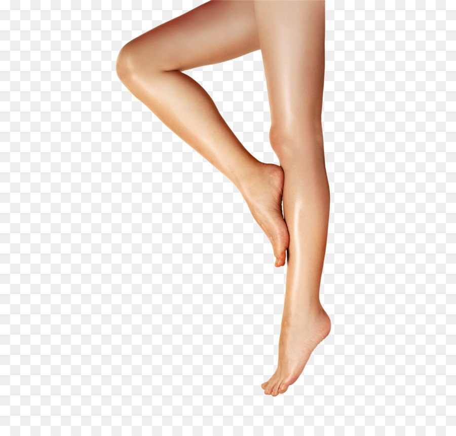 Clip art - Legs Free Png Image png download - 1985*2568 - Free Transparent  png Download.