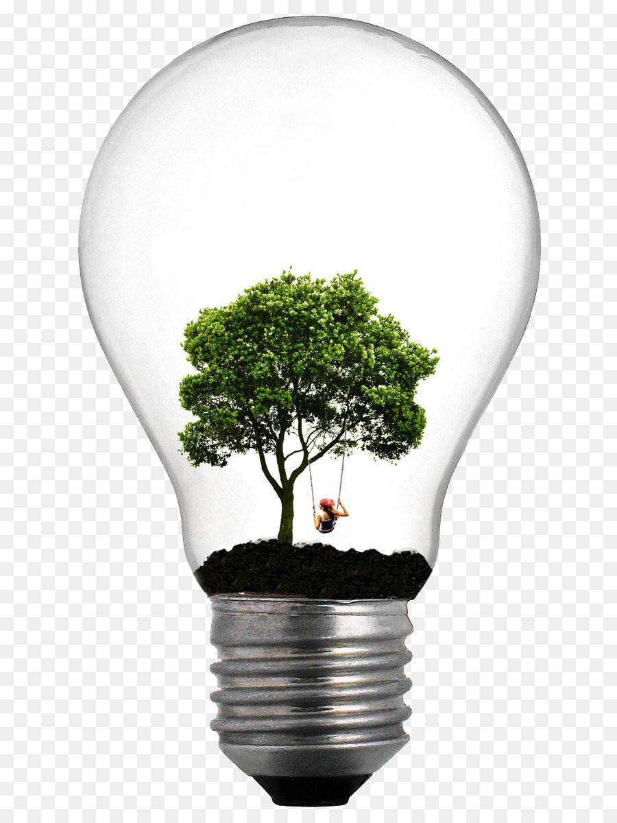 Incandescent light bulb Tree Lamp Lighting - lightbulb png download - 900*1200 - Free Transparent  Light png Download.