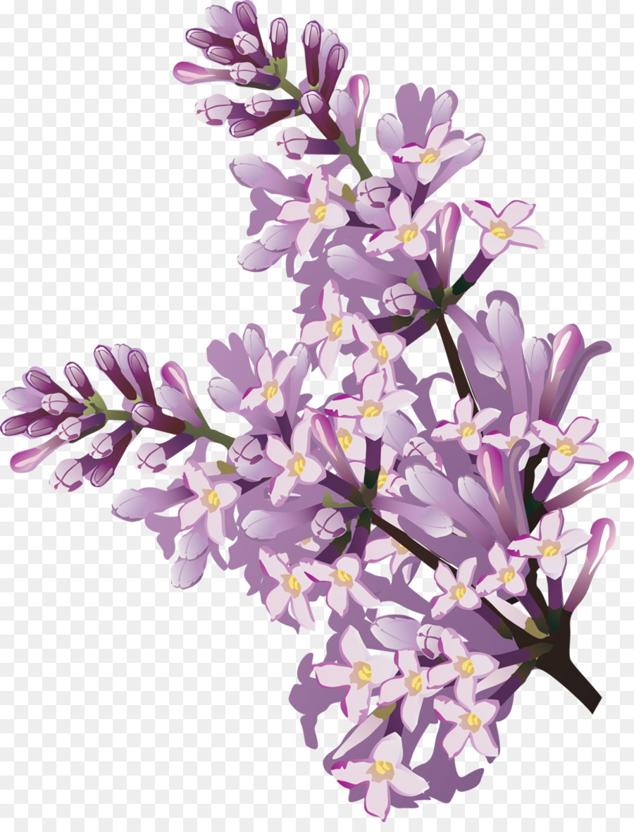Free Lilac Flower Transparent, Download Free Lilac Flower Transparent ...