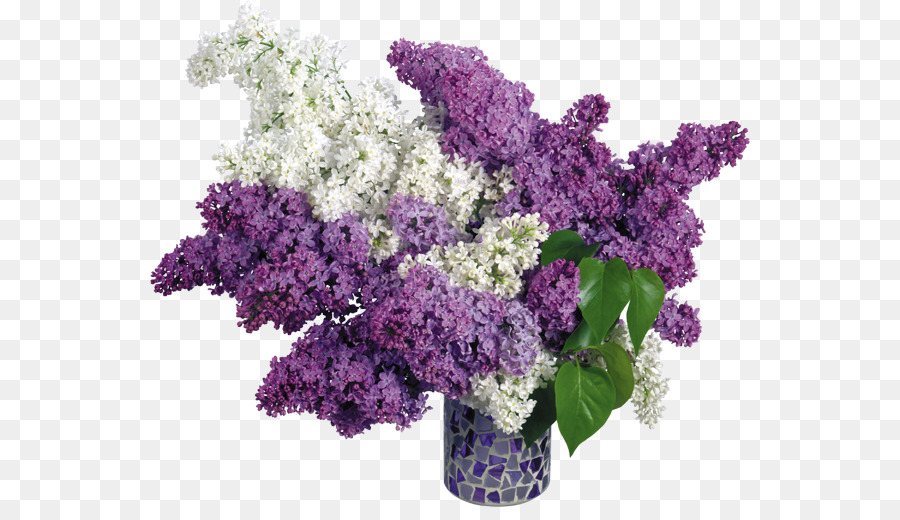Common lilac Pink flowers Wallpaper - vase png download - 600*507 - Free Transparent Common Lilac png Download.