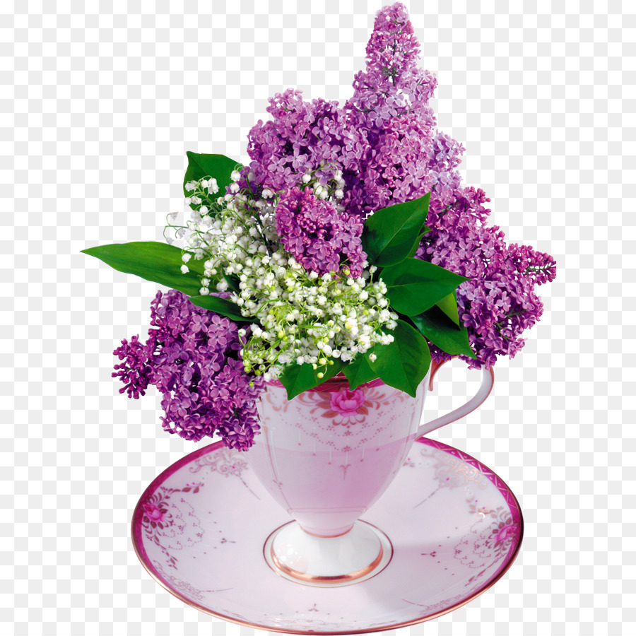Flower bouquet Common lilac - vase png download - 675*900 - Free Transparent Flower png Download.
