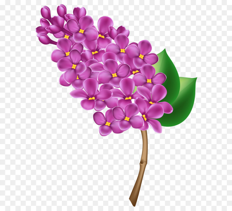 Lilac Flower Clip art - Lilac Transparent PNG Clip Art Image png download - 4805*6000 - Free Transparent Lilac png Download.