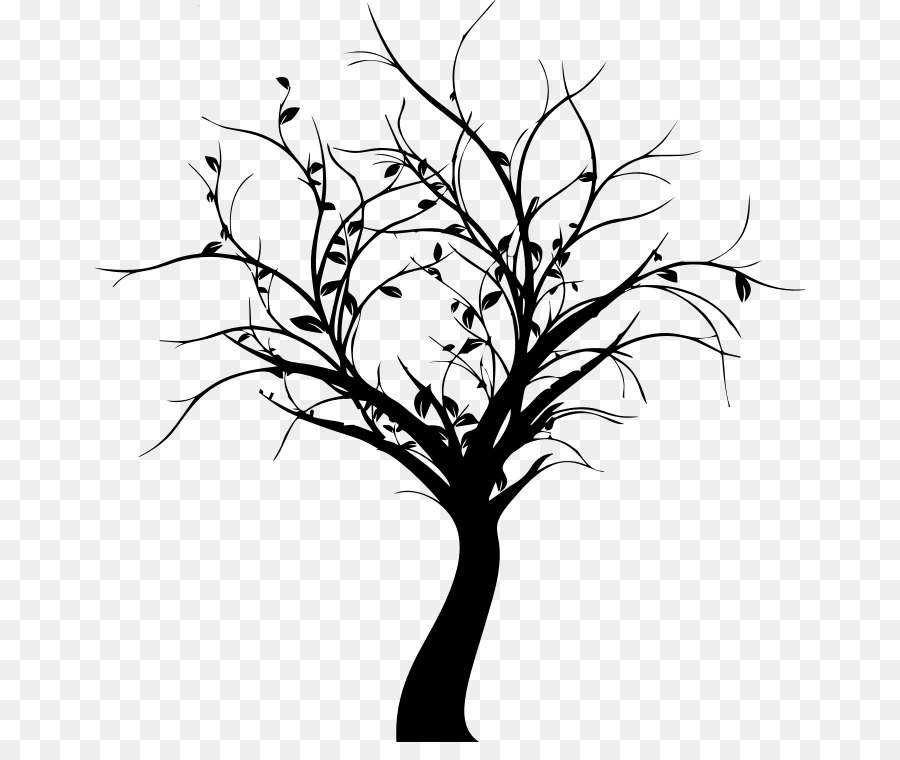Tree Branch - plant silhouette png download - 712*742 - Free Transparent Tree png Download.