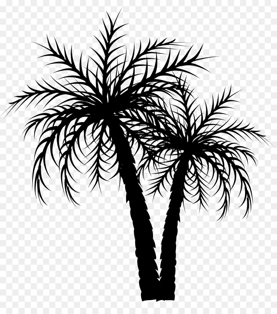 Asian palmyra palm Palm trees Date palm Coconut Image -  png download - 4991*5563 - Free Transparent Asian Palmyra Palm png Download.