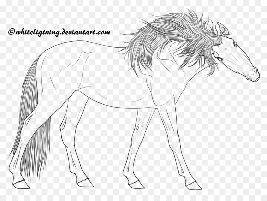 Mane Line art Pony Foal Sketch - Lineart png download - 1024*755 - Free Transparent Mane png Download.