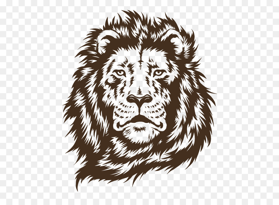 Lion Paper Amazon.com Wall decal Sticker - lion face png download - 650*650 - Free Transparent Lion png Download.