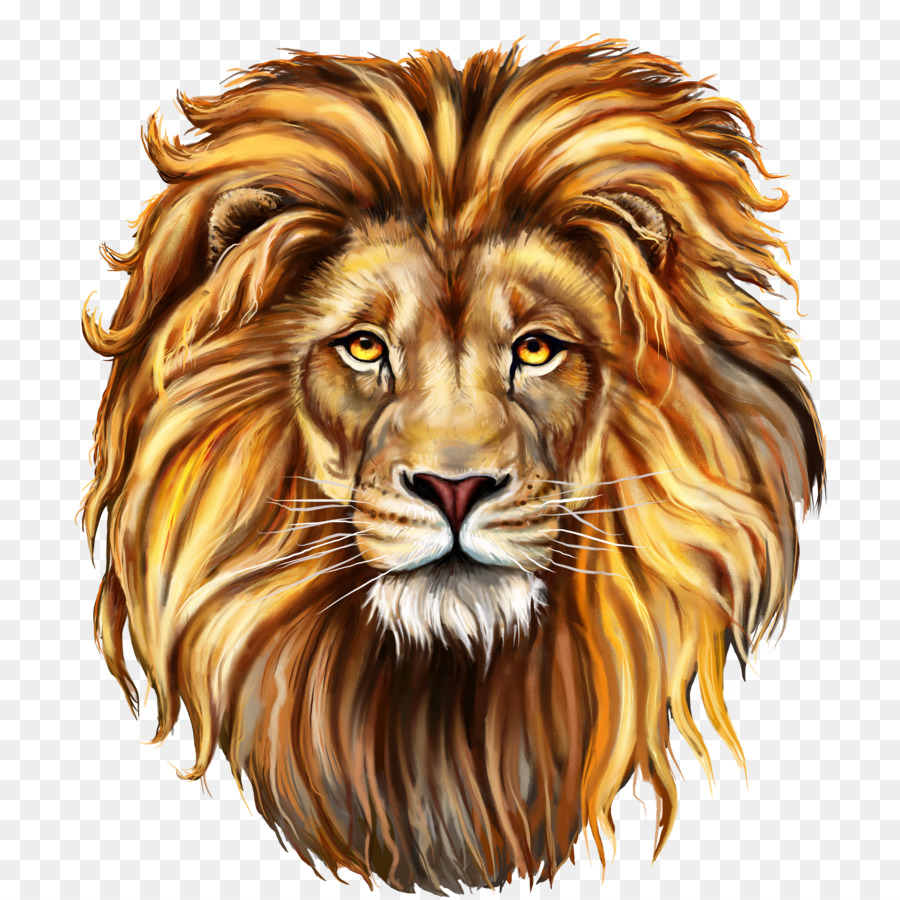 The Red Lion Shutterstock - lion png download - 5000*5000 - Free Transparent Lionhead Rabbit png Download.