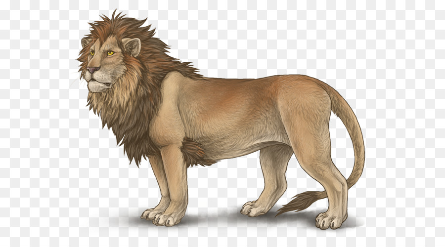 Lion Mutation Leopon Mane Hybrid - lion head png download - 640*500 - Free Transparent Lion png Download.