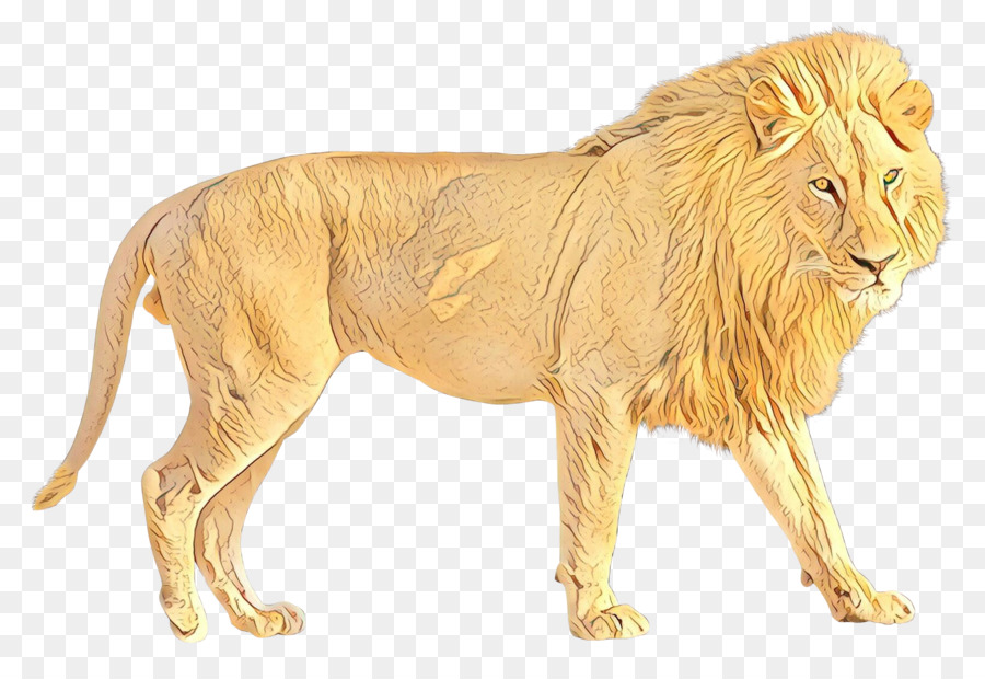 Lion Portable Network Graphics Transparency Image Jaguar -  png download - 1849*1237 - Free Transparent Lion png Download.