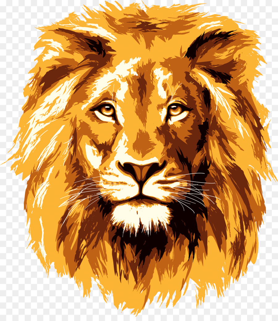 Lionhead rabbit Clip art - lion face png download - 1200*1368 - Free Transparent Lionhead Rabbit png Download.