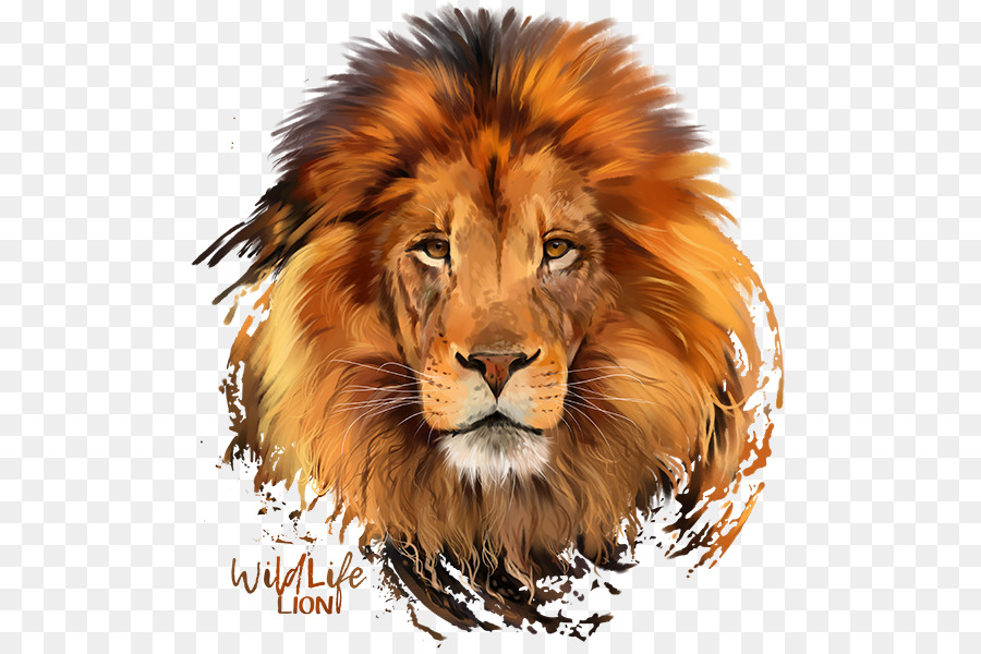 Lion Plakat naukowy Poster T-shirt - lion png download - 557*600 - Free Transparent Lion png Download.