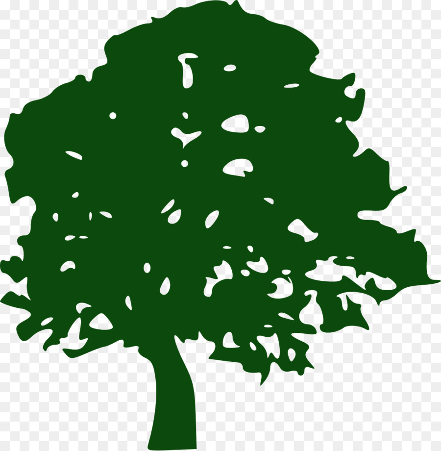 Tree Pine Southern live oak Clip art - tree png download - 1253*1280 - Free Transparent Tree png Download.