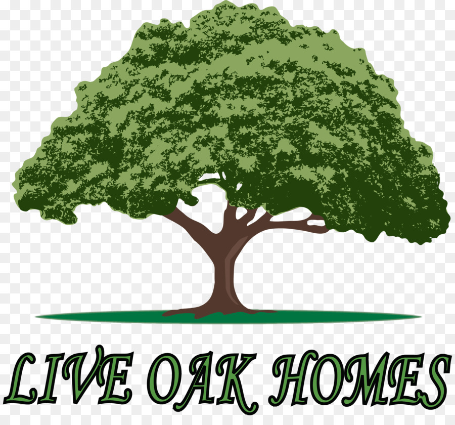 Live Oak Homes Live Oak Homes Mobile home Waycross - Home png download - 2023*1859 - Free Transparent Live Oak png Download.