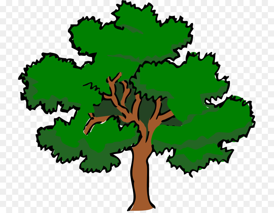 Southern live oak Tree Clip art - oak png download - 781*694 - Free Transparent Southern Live Oak png Download.