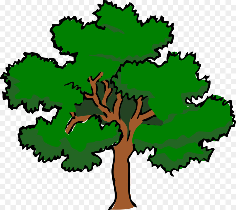 Tree Southern live oak Clip art - fir-tree png download - 2342*2081 - Free Transparent Tree png Download.
